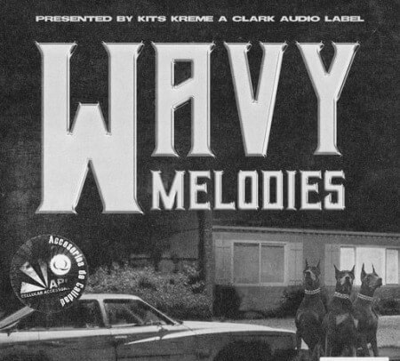 Kits Kreme Wavy Melodies WAV